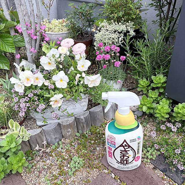 chipsさんの実例写真