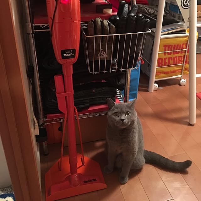 ikettenさんの実例写真