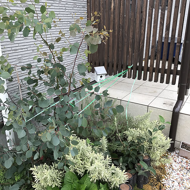 okadajapanさんの実例写真