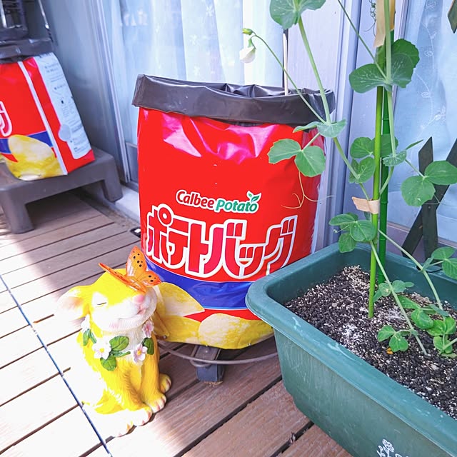 mariaさんの実例写真