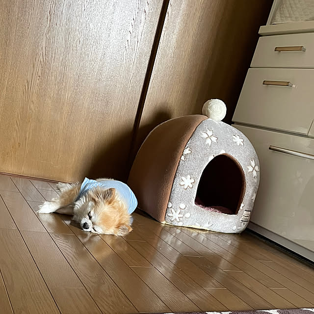 natsumiさんの部屋