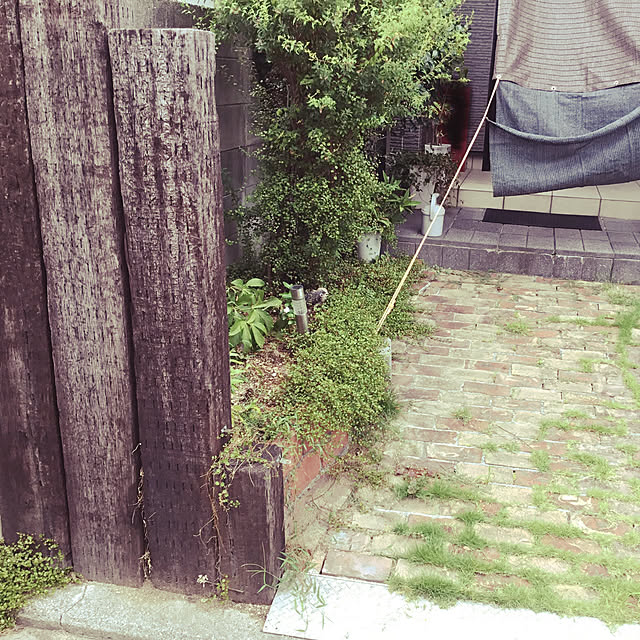 玄関/入り口/DIY/ペットと暮らす家のインテリア実例 - 2018-08-16 16:11:30