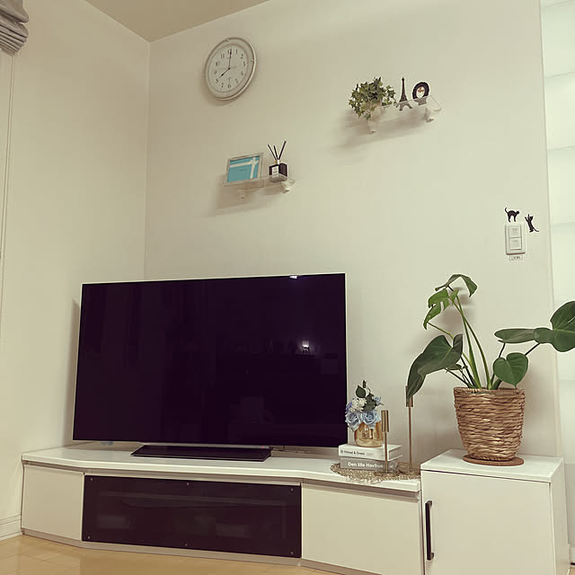 観葉植物/テレビ周り/リビングのインテリア実例 - 2021-09-01 20:03:08