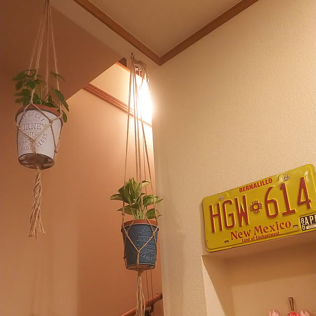 壁/天井/DIY/100均/観葉植物/ダイソー...などのインテリア実例 - 2020-09-10 16:24:48