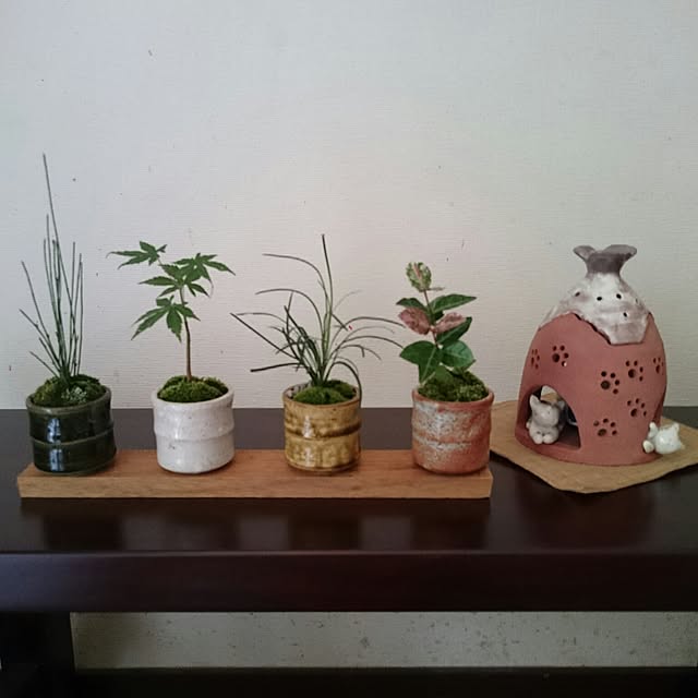 ichikoさんの実例写真