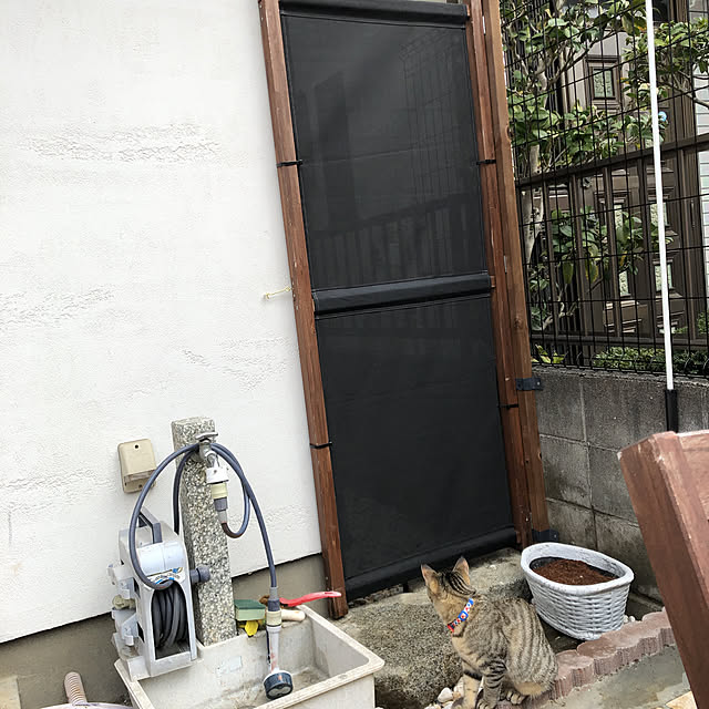 chiroyamanekoさんの実例写真