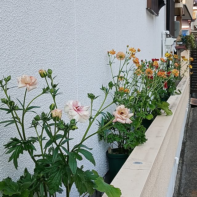 tomomiさんの部屋