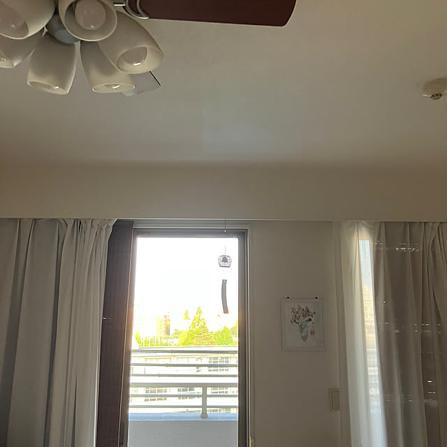 koshiregutyoさんの部屋
