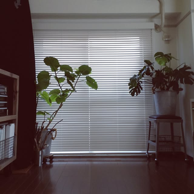 anelaさんの実例写真