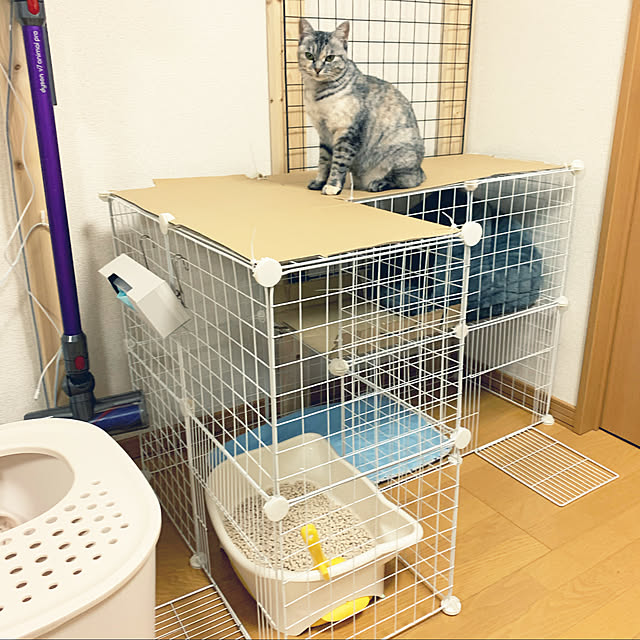 erichinさんの実例写真