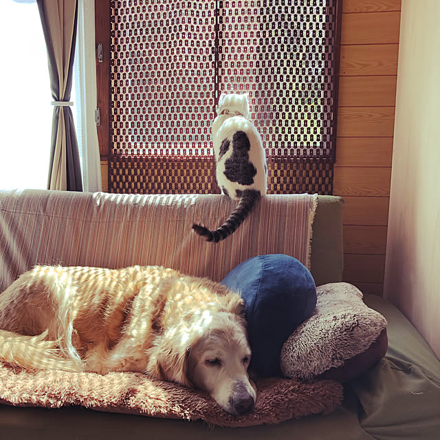 sunskysurfsandさんの実例写真