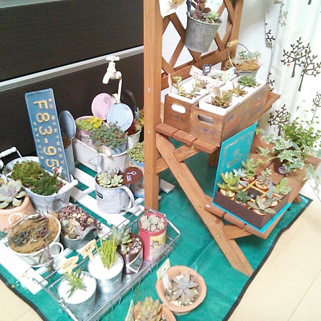 akiさんの実例写真