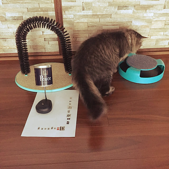oniyomeさんの実例写真