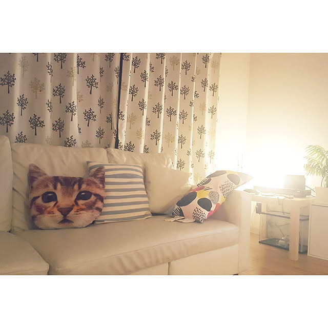 guricoさんの実例写真