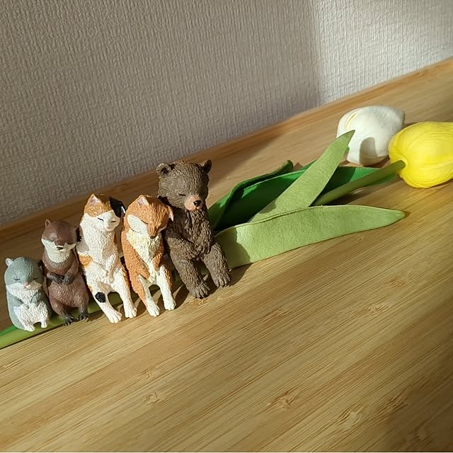 MIKNさんの部屋