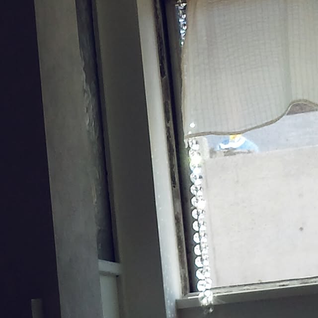 cottonさんの実例写真