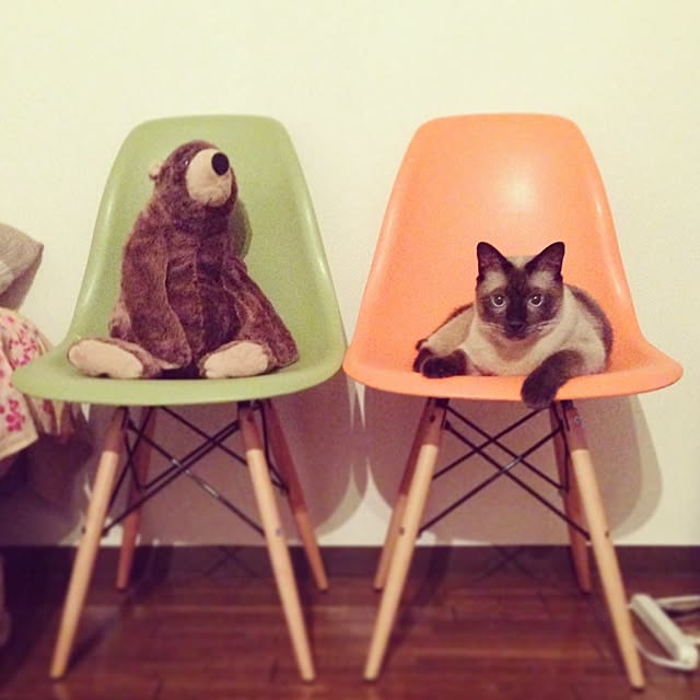 Takachikiさんの実例写真