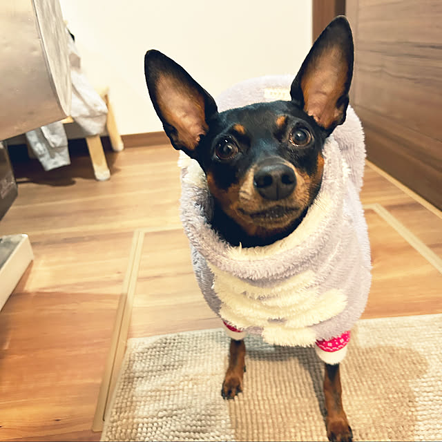 shizuponさんの実例写真