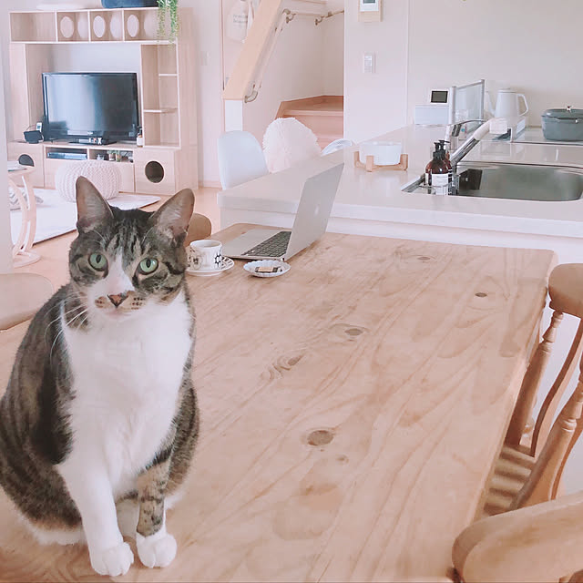 milkcocoaさんの実例写真