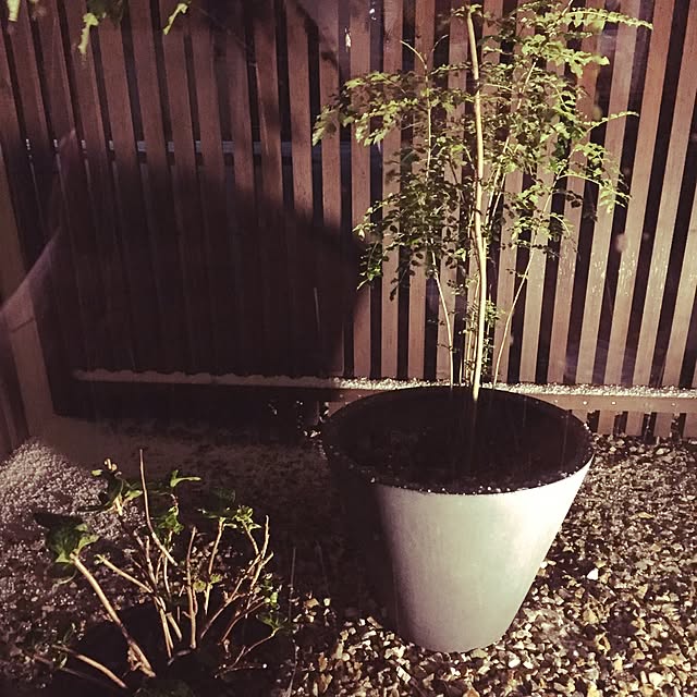 reiさんの実例写真