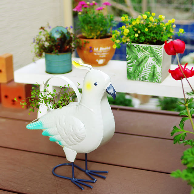 Shooowkoさんの実例写真