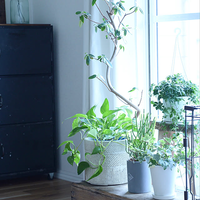 nico_home_igさんの実例写真