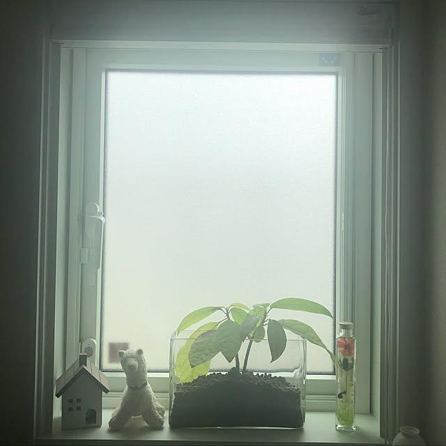 nontaxxxさんの実例写真