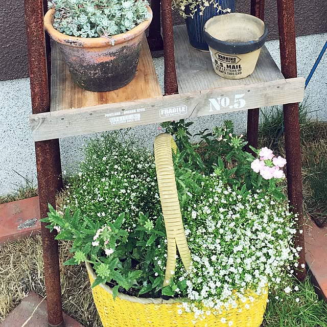 haiziさんの実例写真