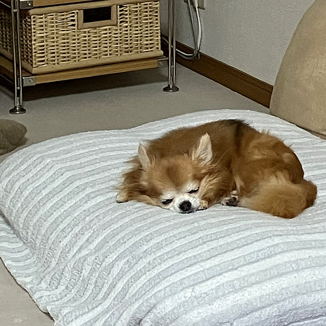koroさんの部屋