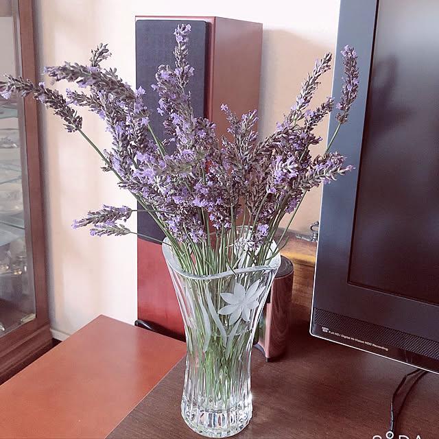 ange.zuzuさんの実例写真