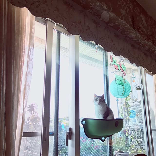 emmyyさんの実例写真