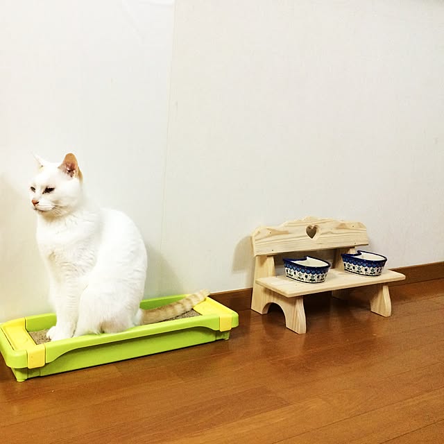 mayuさんの実例写真