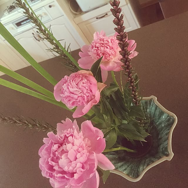 Camelliaさんの実例写真
