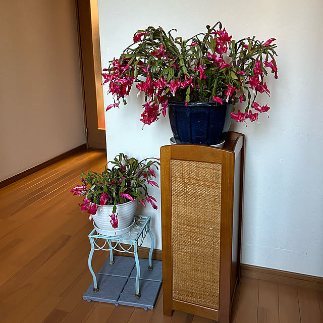 fumikoiさんの実例写真