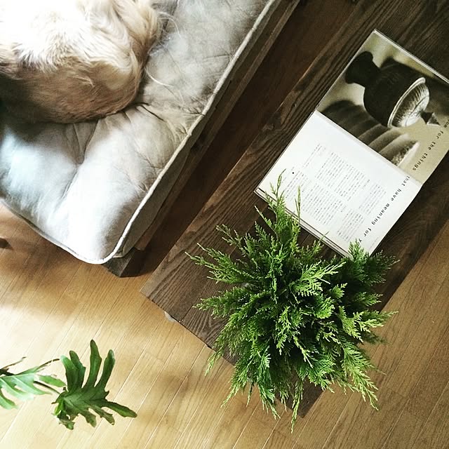 tomowithdogさんの実例写真