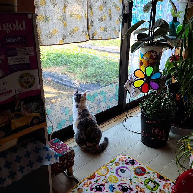kumutanさんの実例写真