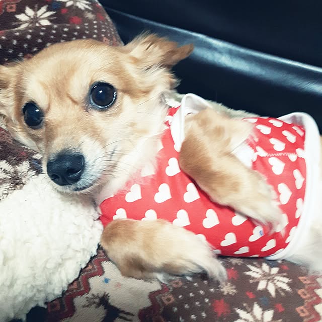 keikoさんの実例写真