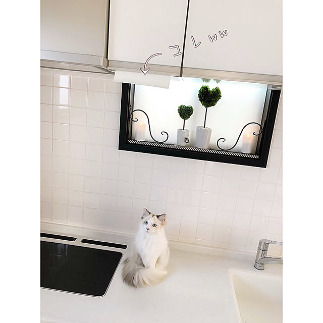 mokkoさんの実例写真