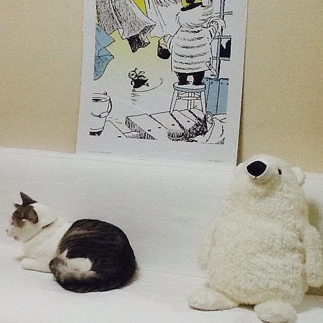 Mikaさんの実例写真