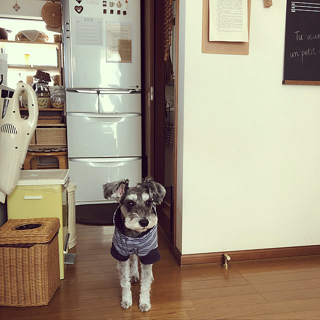 tamaharuさんの実例写真