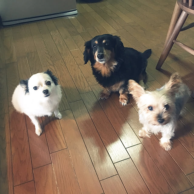 ohanaさんの実例写真