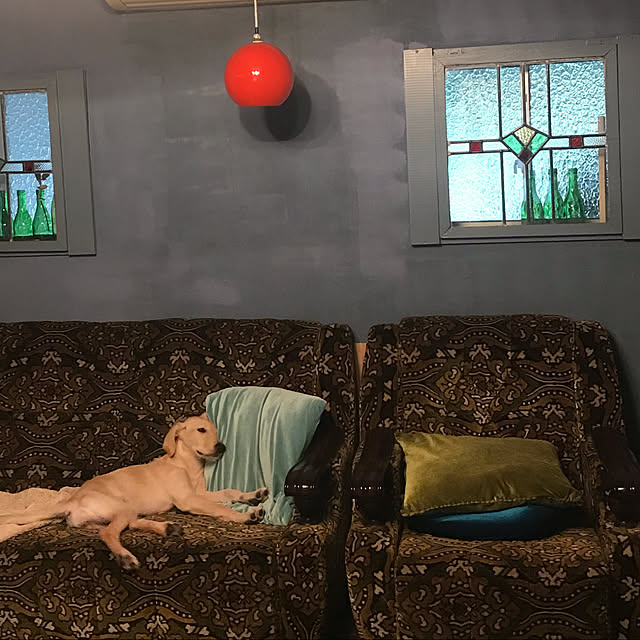 joshua.treeさんの実例写真
