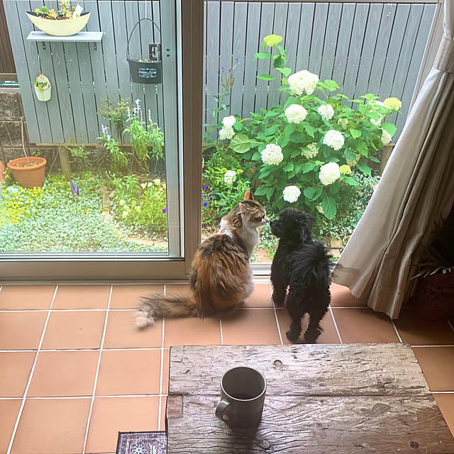 67さんの実例写真