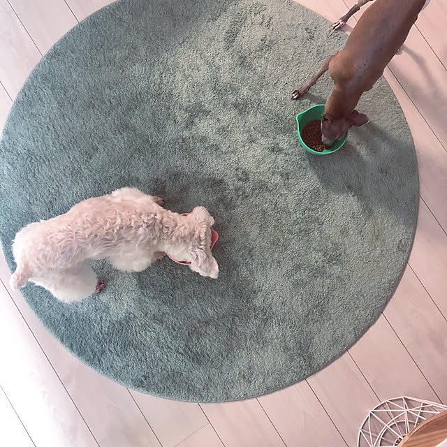 suzyさんの実例写真
