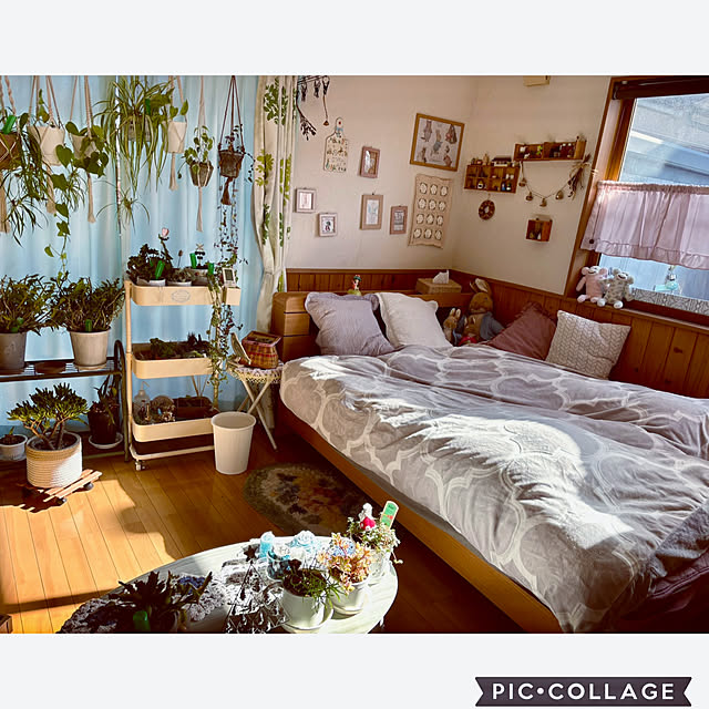 CoCo0617さんの実例写真