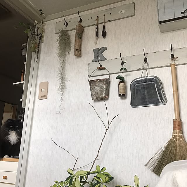 mucc08さんの実例写真