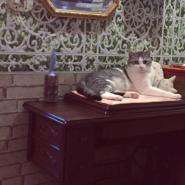 emmyyさんの実例写真