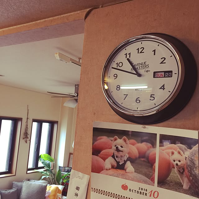 Eikoさんの実例写真