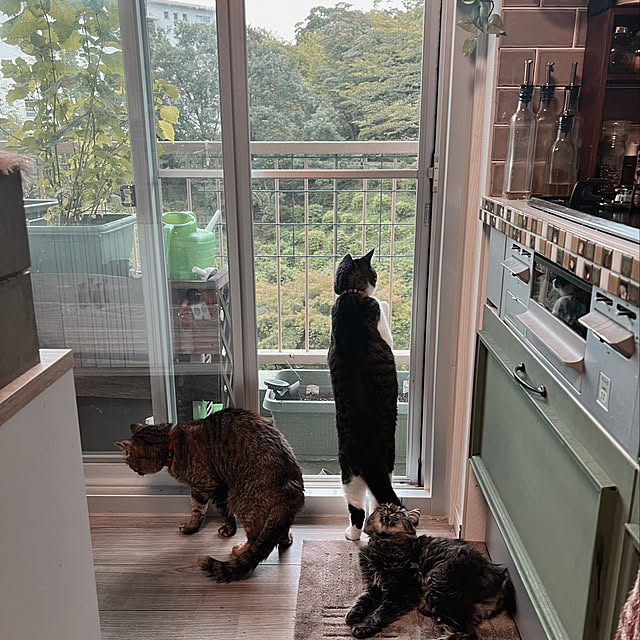 sumoanzuさんの実例写真