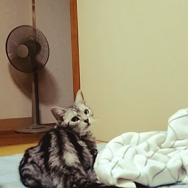 HRMK1603さんの実例写真